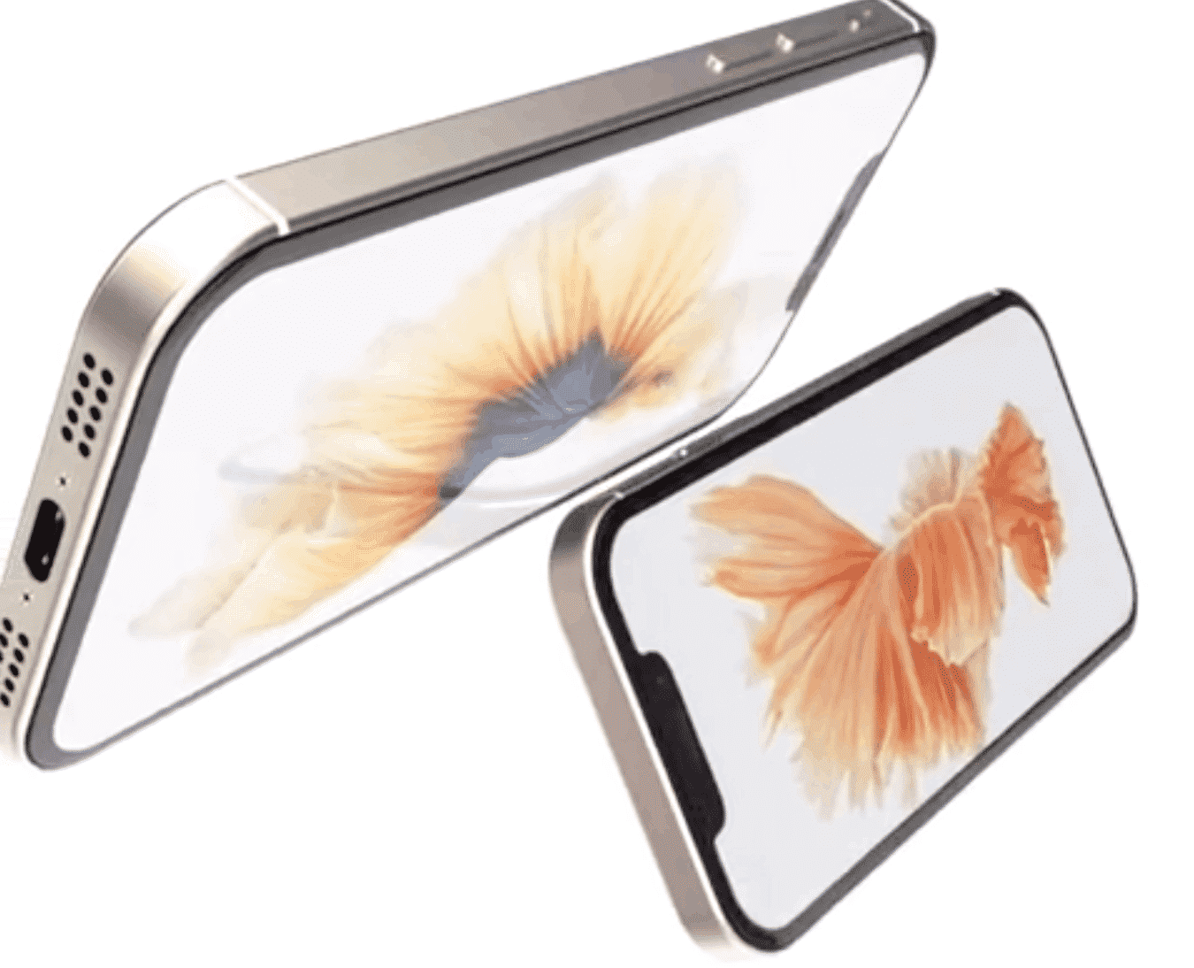 iPhone XE and iPhone SE 2